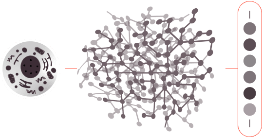 Dots Array blured Proteome